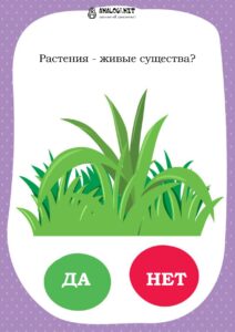 Карточки для игры "Данетки"