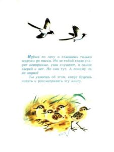 Геннадий Снегирёв, «Как животных цвет защищает» (1989)