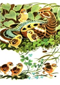 Геннадий Снегирёв, «Как животных цвет защищает» (1989)