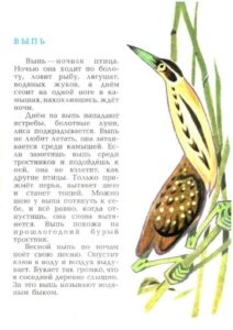 Геннадий Снегирёв, «Как животных цвет защищает» (1989)