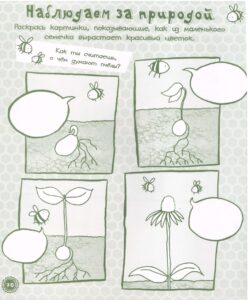 Природа. Большая книга для творчества