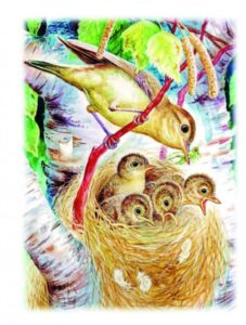 книги про животных Бианки