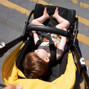 Что изменилось в коляске Bugaboo Bee6?