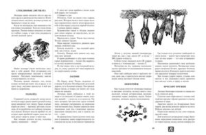 Лучшие книги про зиму для детей и не только