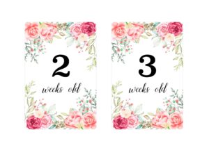 Карточки с розами для фотосессии малыша