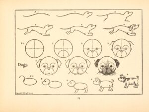пошаговая инструкция по рисованию в книге "What to Draw and How to Draw it" 1913 года