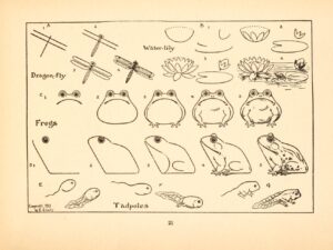 фрагменты из книги "What to Draw and How to Draw it" 1913 года