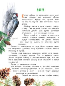 Про птиц и зверей - Снегирев