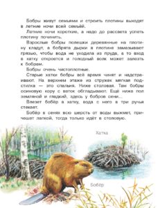 Про птиц и зверей - Снегирев