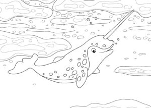 раскраски о море для детей