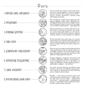 раскраски подводный мир