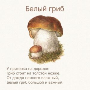 стихи для детей про грибы