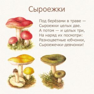 стихи для детей про грибы