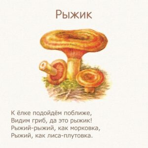 стихи для детей про грибы