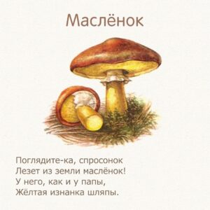стихи для детей про грибы