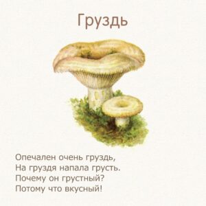 стихи для детей про грибы