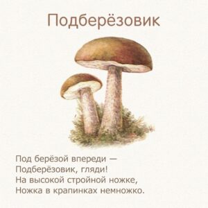 стихи для детей про грибы