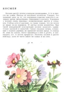 Алексей Смирнов, «Цветок солнца» (1989)