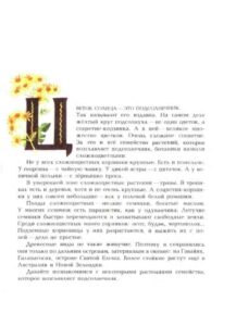 Алексей Смирнов, «Цветок солнца» (1989)