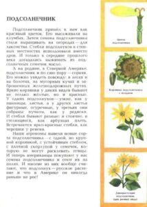 Алексей Смирнов, «Цветок солнца» (1989)