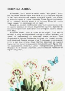 Алексей Смирнов, «Цветок солнца» (1989)