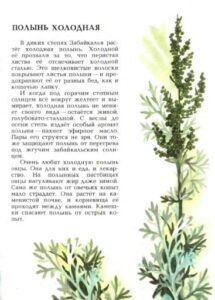 Алексей Смирнов, «Цветок солнца» (1989)