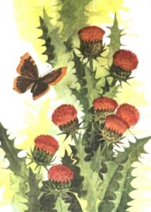 Алексей Смирнов, «Цветок солнца» (1989)