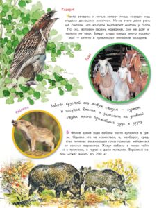 О животных и растениях (АСТ)