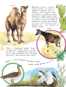 О животных и растениях (АСТ)