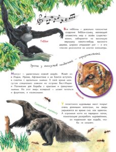 О животных и растениях (АСТ)