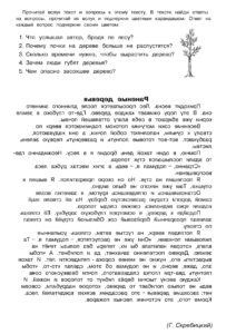 Зеркальный текст - распечатать упражнение по скорочтению